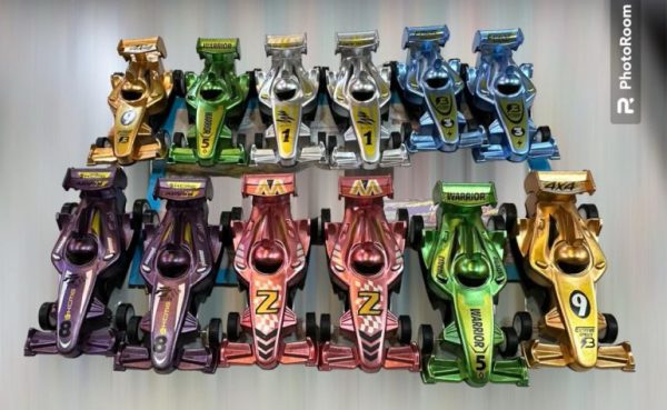 Toy Tribe F1 – 12 Pcs Car Set Pull Back Race Cars For Kids (random Design & Color)